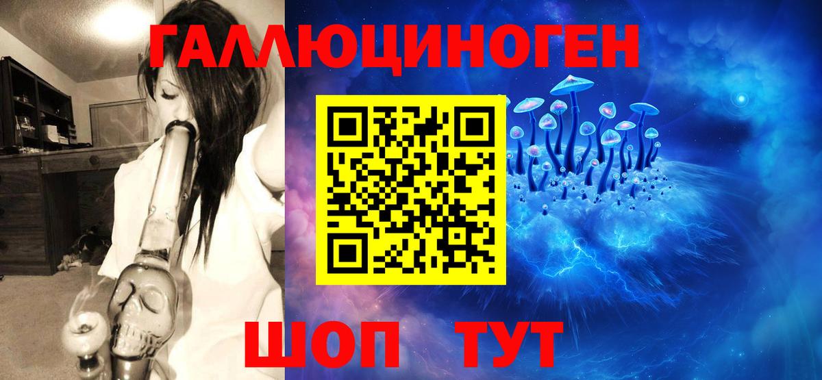 закладка  Вход с VPN  Псилоцибиновые грибы Cubensis  Волжский  Галлюциногенные грибы Psilocybe 
